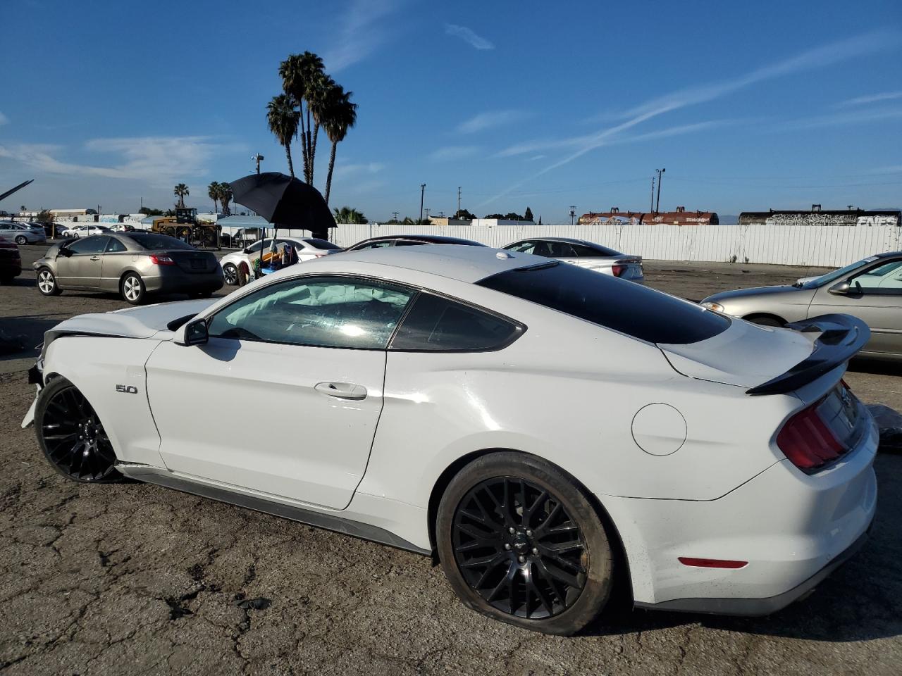 1FA6P8CF6K5123446 FORD MUSTANG 2019