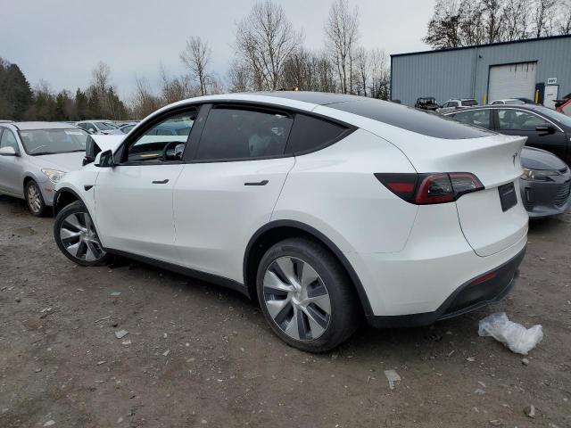 7SAYGDEE6PF887421 | 2023 TESLA MODEL Y