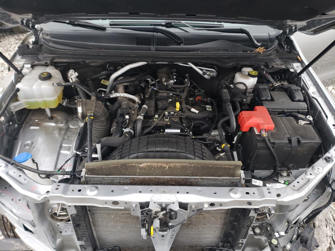 1FTER1EH6MLD21819 FORD RANGER 2021