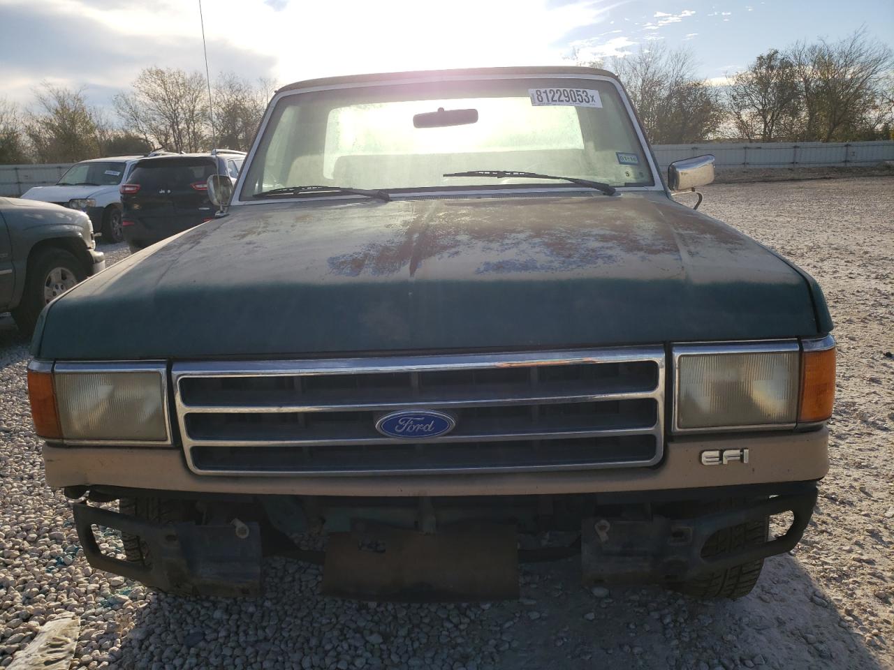 1FTEF15Y1KNB53985 1989 Ford F150