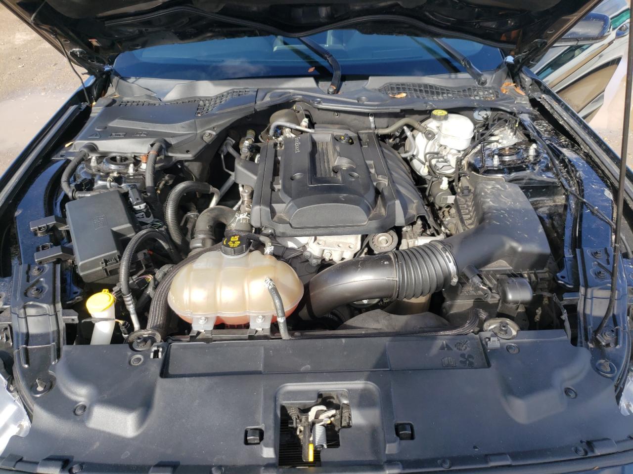 1FA6P8TH9K5181116 FORD ALL Models 2019