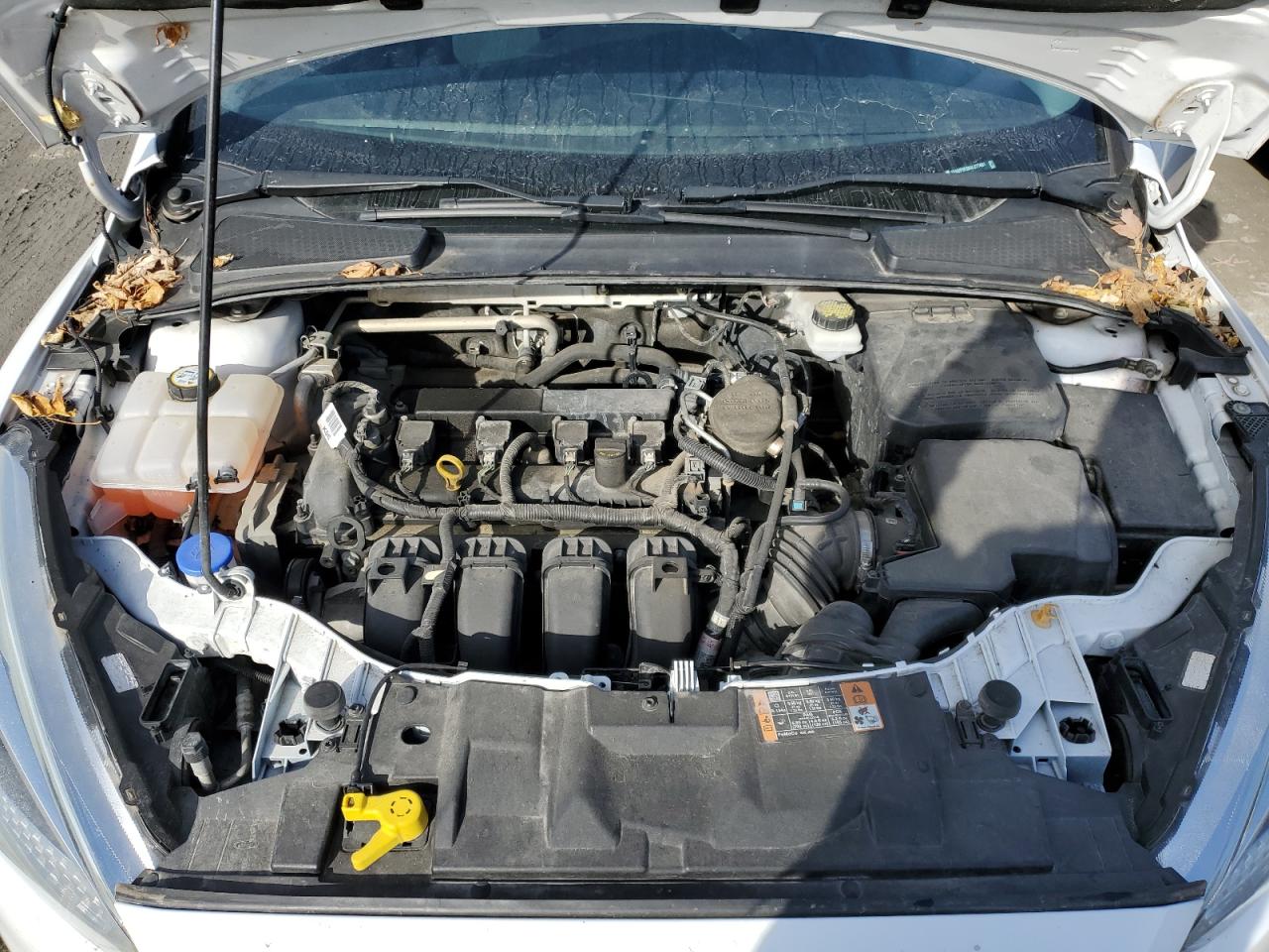 1FADP3F29GL277431 2016 Ford Focus Se