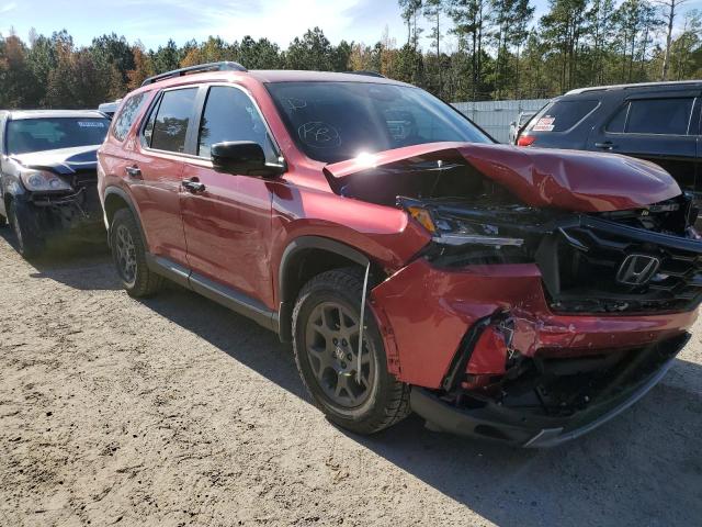 2023 HONDA PILOT TRAI 5FNYG1H61PB051323