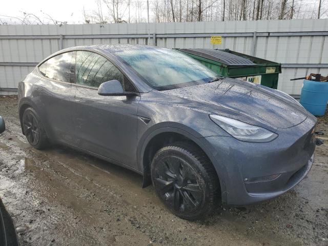 5YJYGDEE2MF160284 | 2021 TESLA MODEL Y