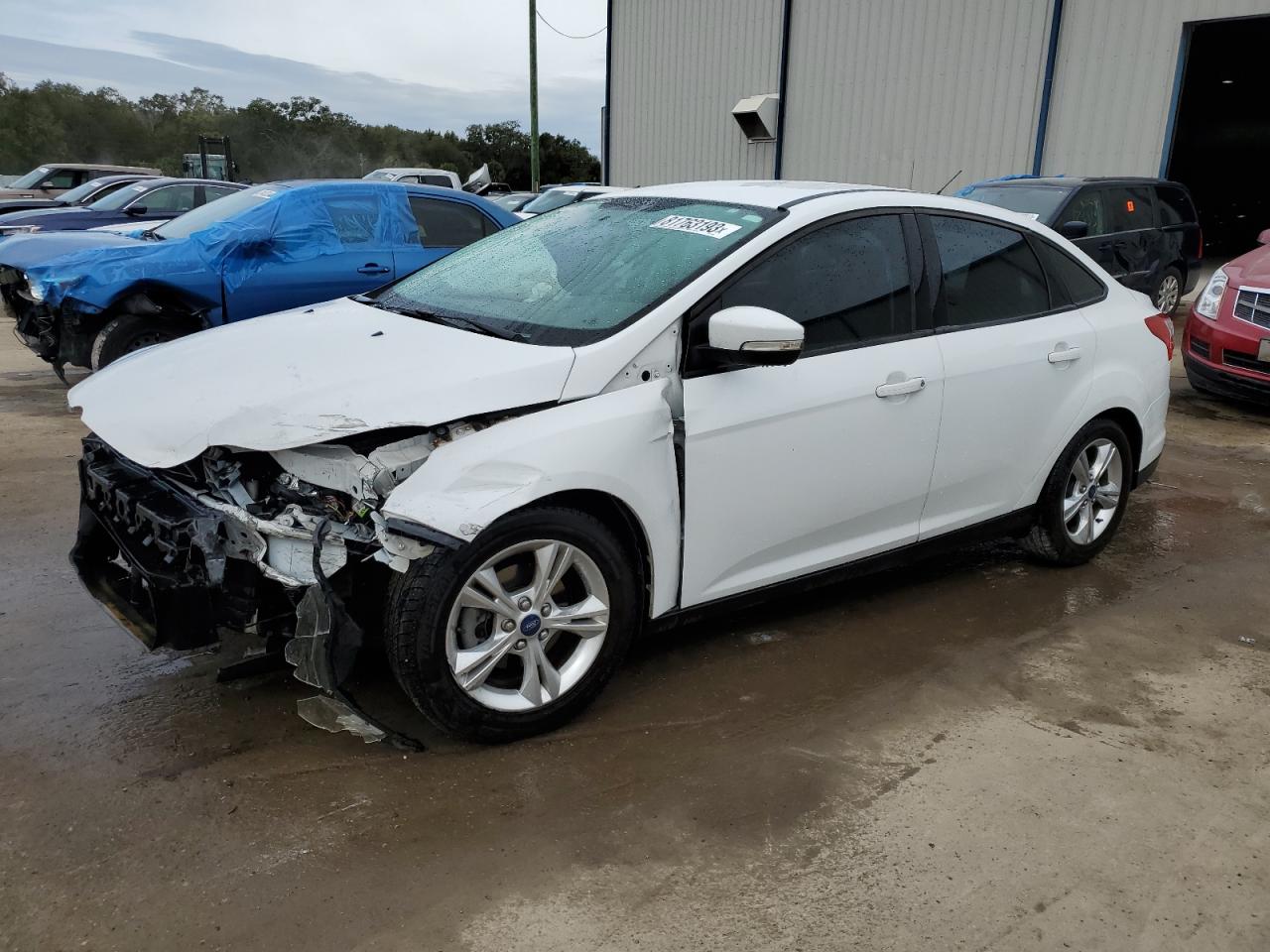 Lot #2428369609 2014 FORD FOCUS SE