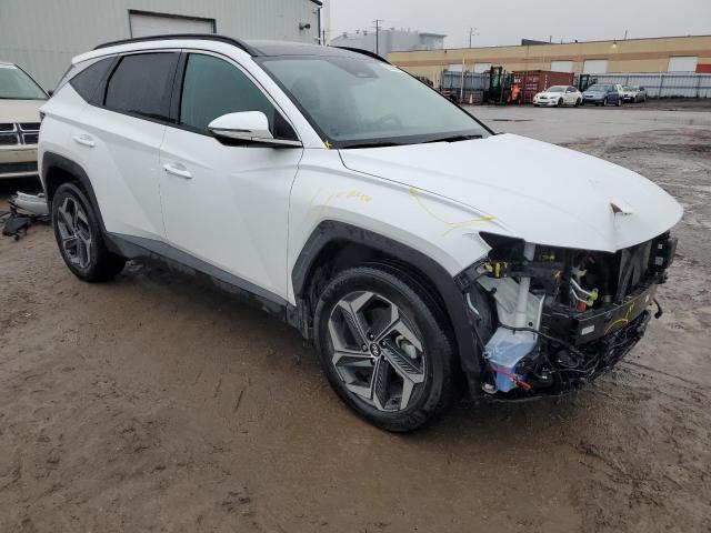 2023 HYUNDAI TUCSON LUX - KM8JCCA17PU100938