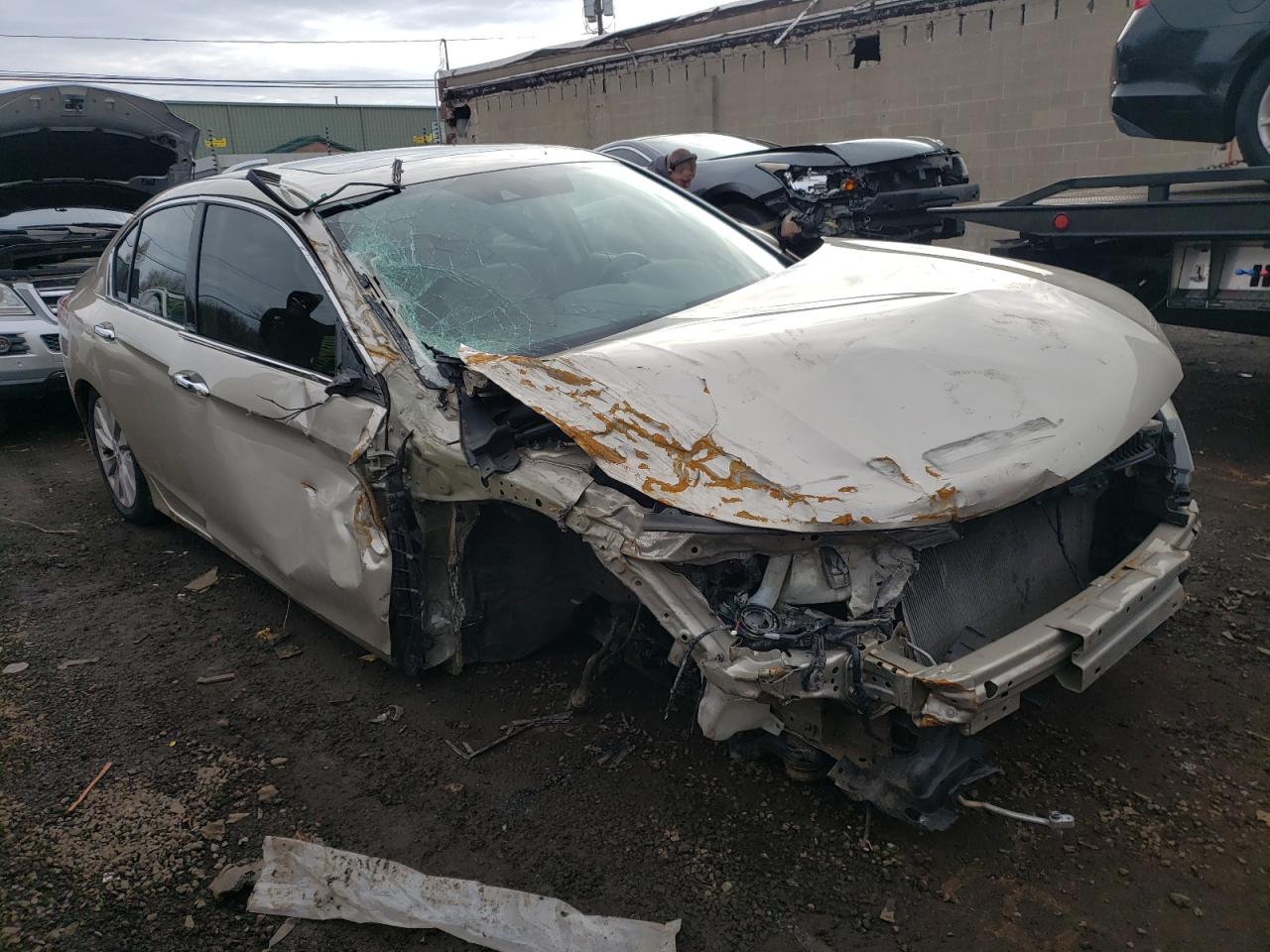 Lot #2632925888 2015 HONDA ACCORD EXL