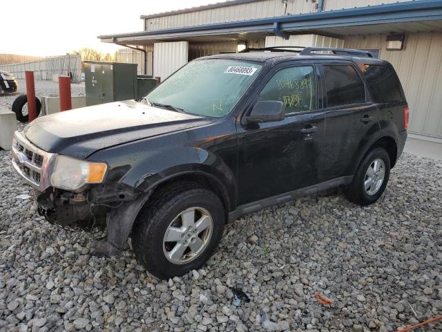 2009 Ford Escape XLT