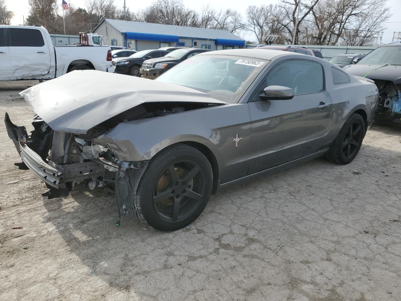 2013 Ford Mustang vin: 1ZVBP8AM6D5216316