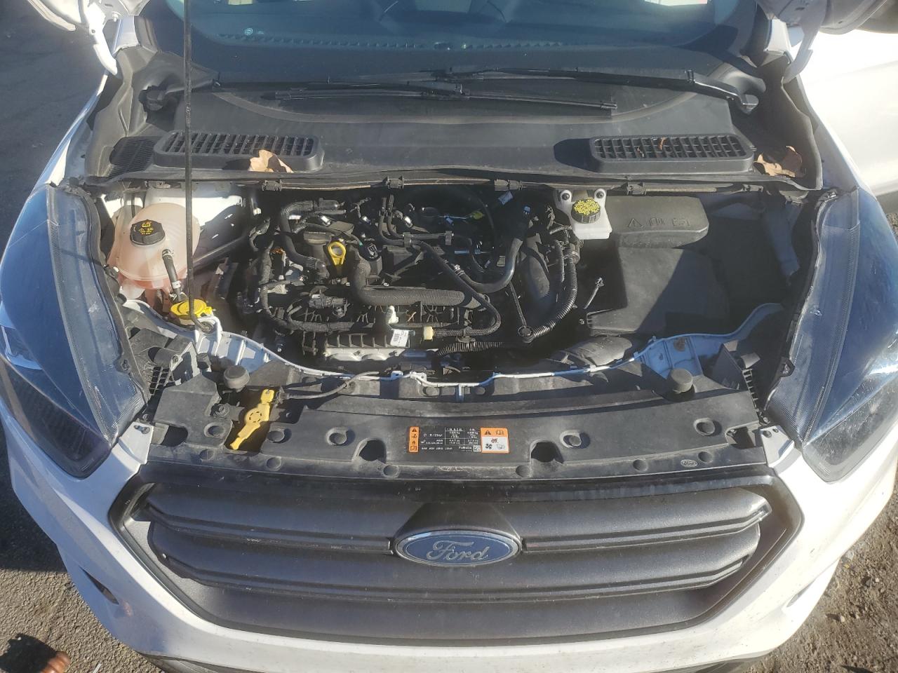 1FMCU9HD7KUB85491 FORD ESCAPE 2019