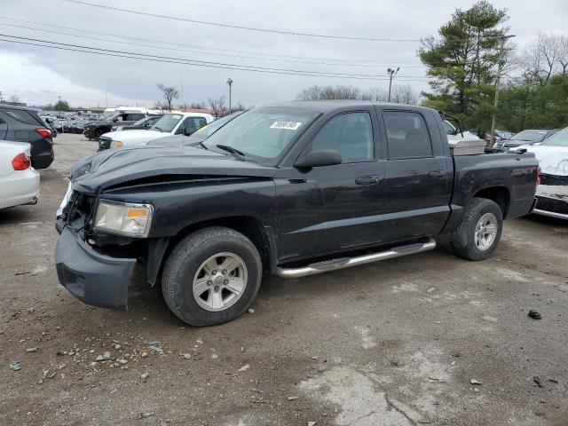 Lot #2473651166 2008 DODGE DAKOTA SXT salvage car