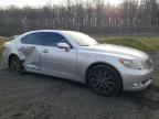 Lot #3024062619 2007 LEXUS LS 460