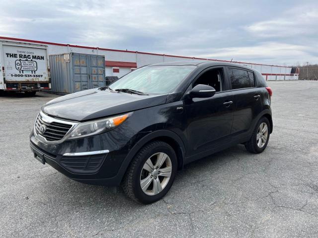 KNDPBCA27D7432558 | 2013 KIA sportage lx