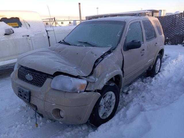 2007 Ford Escape Limited