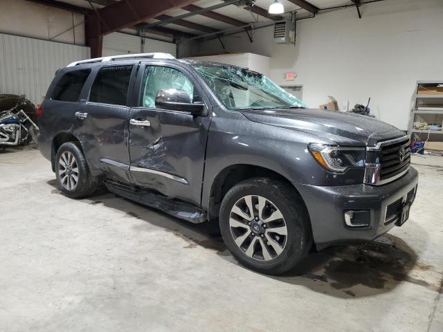 2019 TOYOTA SEQUOIA LI - 5TDJY5G15KS166491