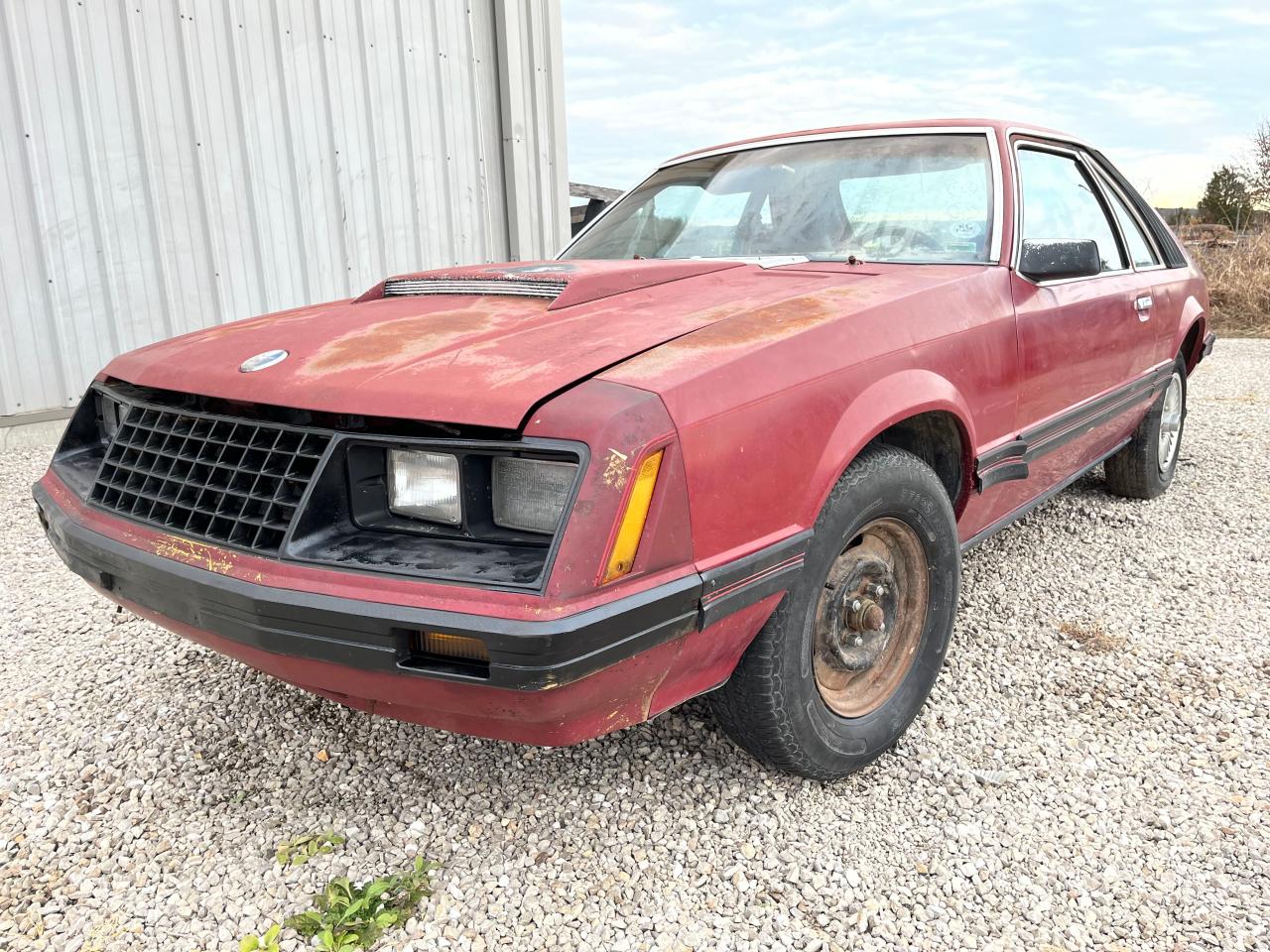 1FABP16B5CF204223 1982 Ford Mustang