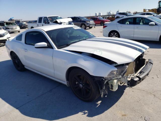 1ZVBP8AM2E5278135 | 2014 FORD MUSTANG