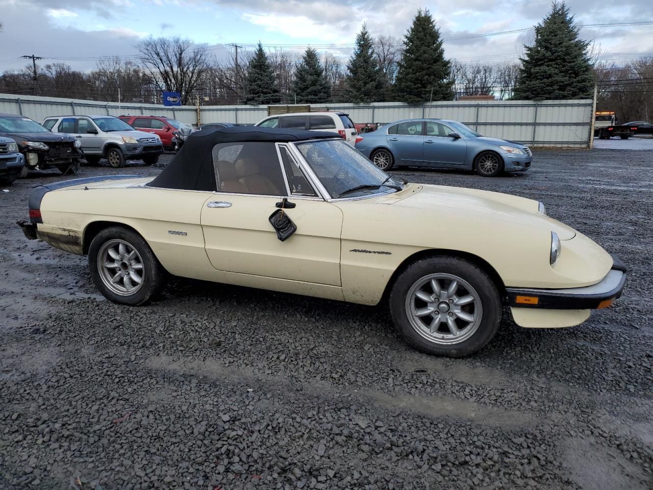 ZARBA5584H1048484 1987 Alfa Romeo Spider Veloce