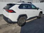 Lot #2991816161 2021 TOYOTA RAV4 LE