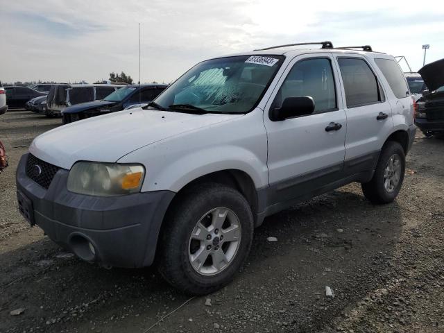 2007 Ford Escape XLT