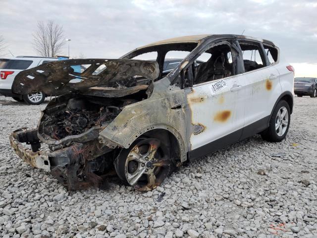 Vin: 1fmcu9gx4eub73427, lot: 81365213, ford escape se 2014 img_1