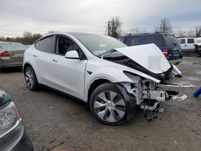 7SAYGDEE6PF887421 | 2023 TESLA MODEL Y