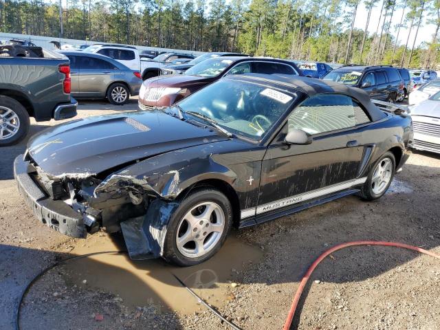 Lot #2428399389 2002 FORD MUSTANG salvage car