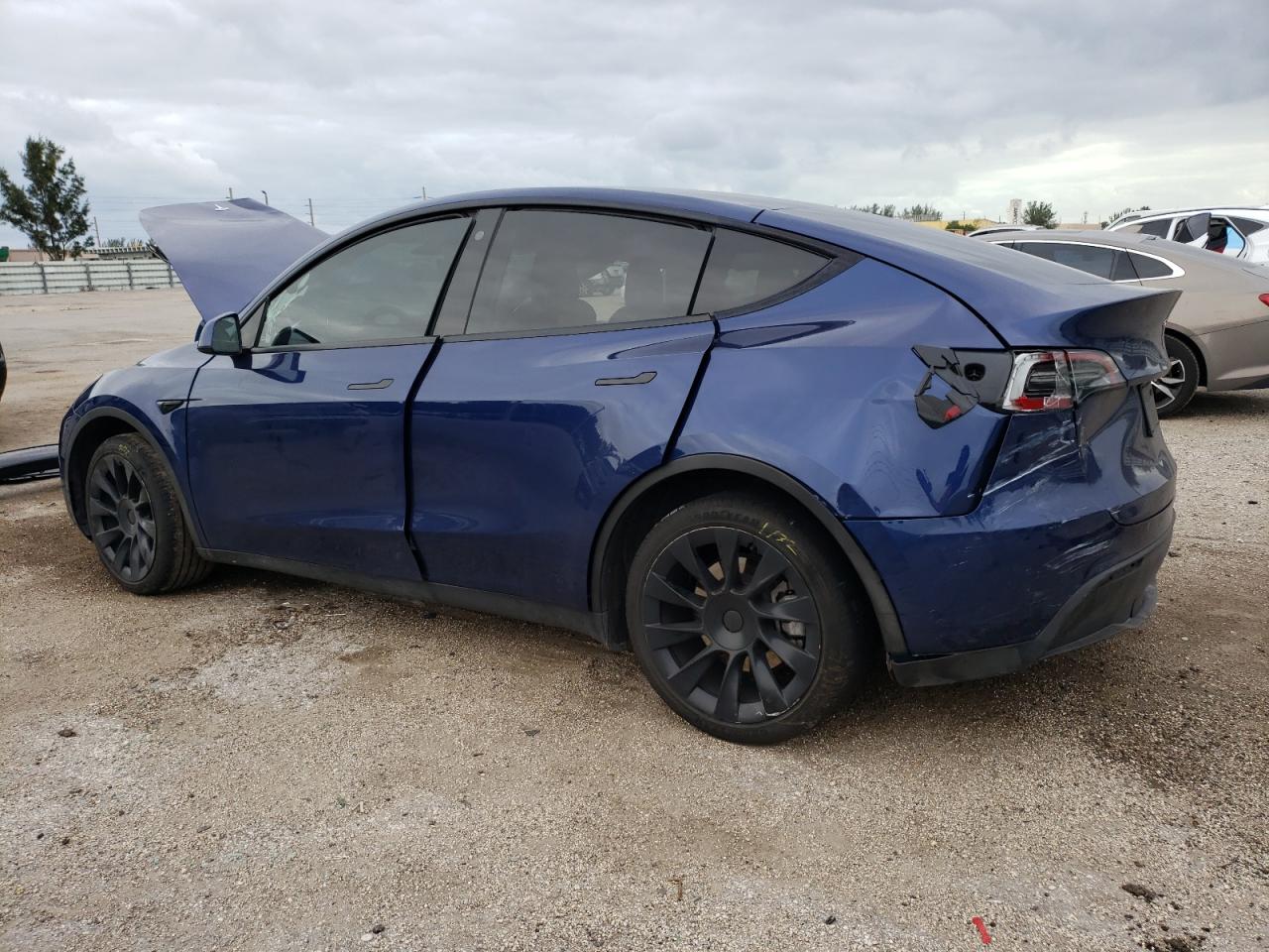 Lot #2978401010 2023 TESLA MODEL Y