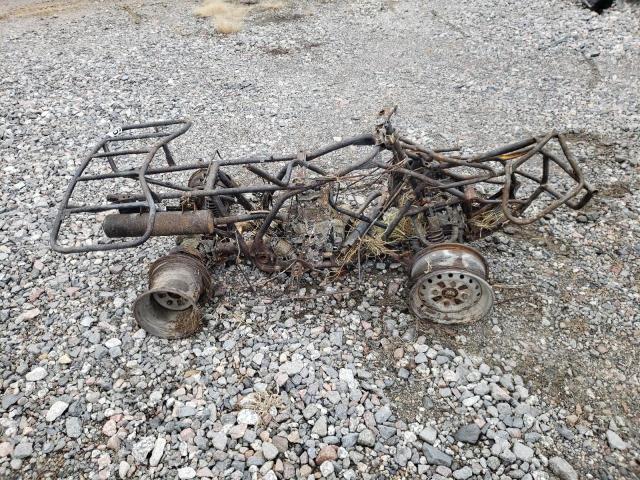 2005 HONDA TRX250 TM 1HFTE210054510170