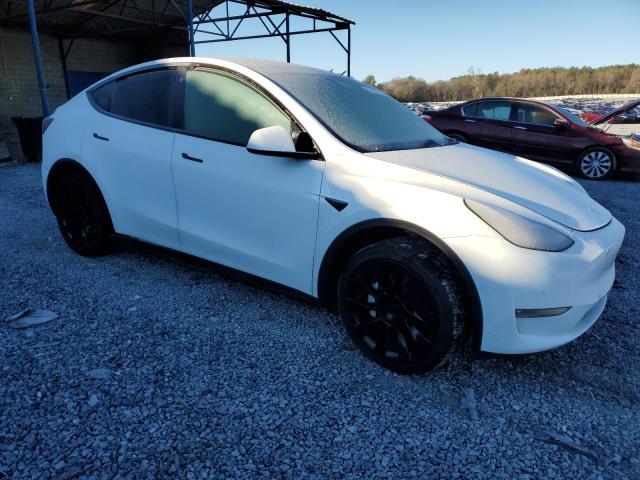 5YJYGDEE6MF137929 | 2021 TESLA MODEL Y