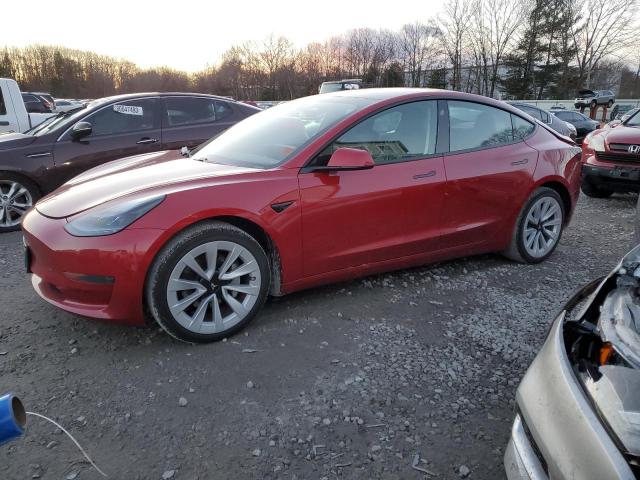 5YJ3E1EA9MF063031 | 2021 TESLA MODEL 3