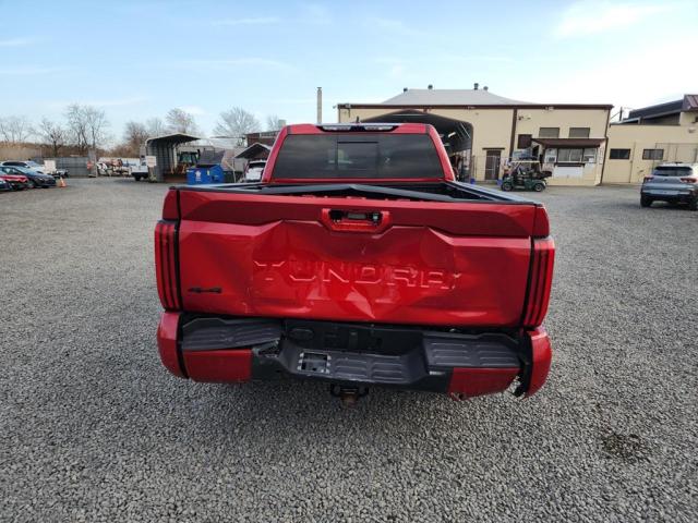 2022 Toyota Tundra Double Cab Sr VIN: 5TFLA5DA0NX023948 Lot: 80117923