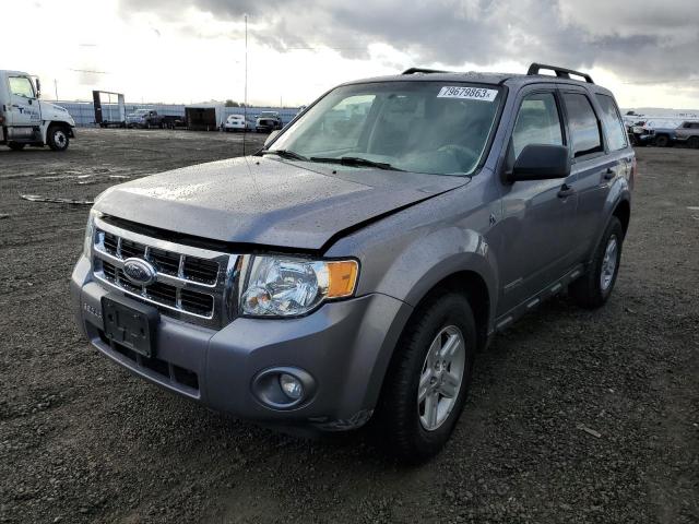 2008 Ford Escape 