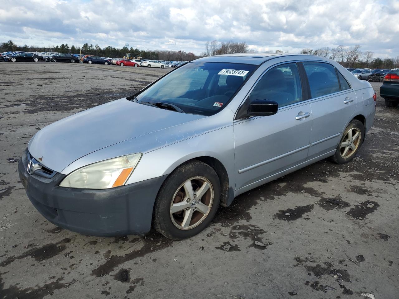 1hgcm56705a176326 1HGCM56705A176326 2005 Honda Accord Ex