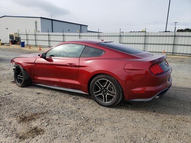 1FA6P8TH8K5184458 | 2019 FORD MUSTANG