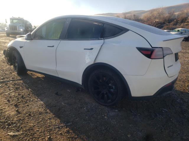 5YJYGDEEXLF040392 | 2020 TESLA MODEL Y