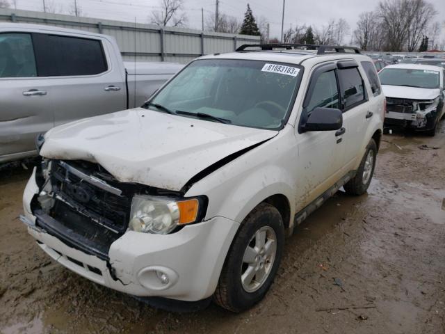 2009 Ford Escape XLT