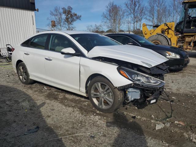 5NPE34AF8KH815785 | 2019 HYUNDAI SONATA LIM