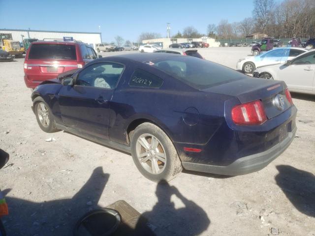 1ZVBP8ANXA5146324 | 2010 Ford mustang