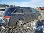 HONDA ODYSSEY LX photo