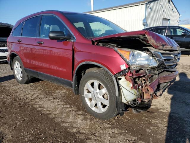 Vin: 5j6re4h36al812315, lot: 79856003, honda crv lx 20104