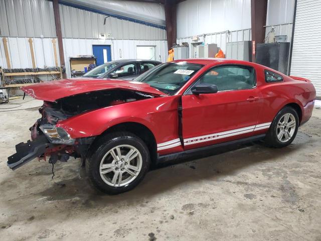 2010 Ford Mustang VIN: 1ZVBP8AN5A5160504 Lot: 81069183