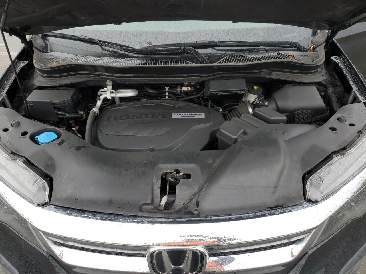 5FNYF6H54KB030420 HONDA PILOT 2019