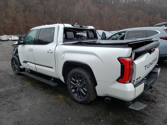 2022 Toyota Tundra Crewmax Platinum VIN: 5TFNC5DB6NX007670 Lot: 81125753