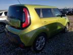 KIA SOUL + photo