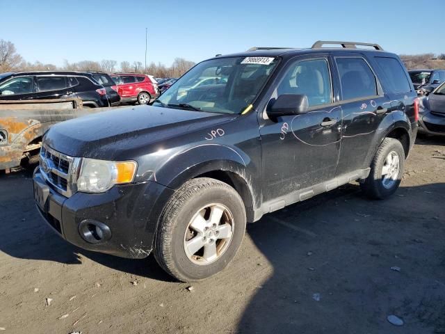 2010 Ford Escape XLT