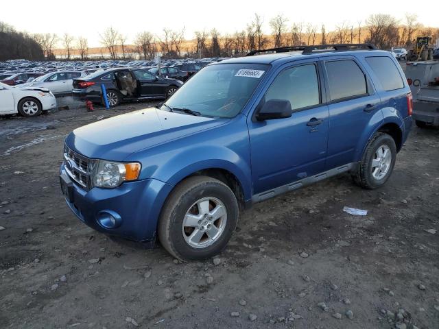 2009 Ford Escape XLT