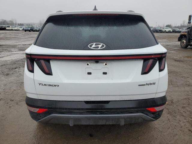 2023 HYUNDAI TUCSON LUX - KM8JCCA17PU100938