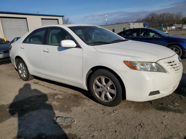 4T1BE46KX9U861231 | 2009 Toyota camry base