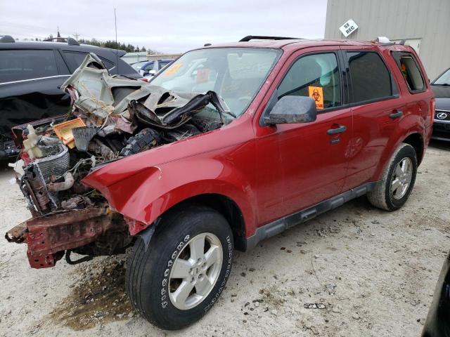 2010 Ford Escape XLT